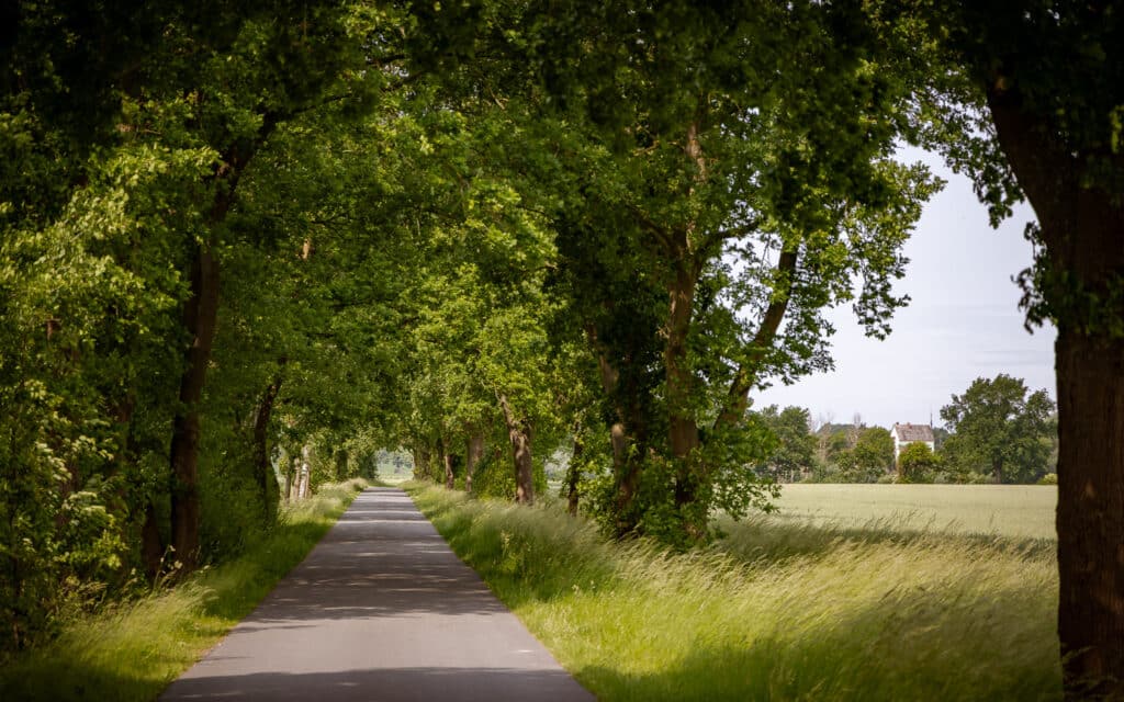 Impression aus der Region