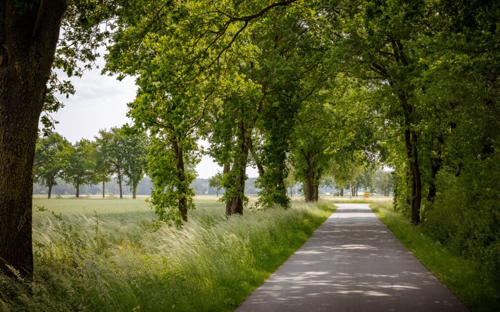 Impression aus der Region