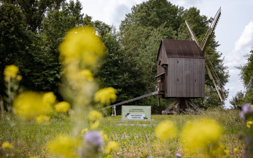 Mühle